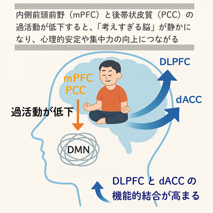 瞑想による脳活動の変化:DMNの抑制と認知制御ネットワークの強化