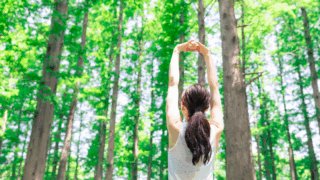 強迫性障害に森林浴は効果がある？フィトンチッドがもたらす心の安らぎ