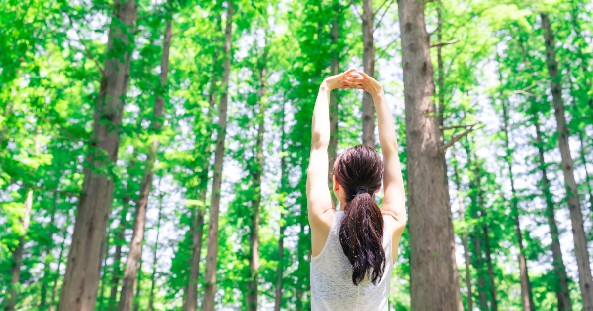 強迫性障害に森林浴は効果がある？フィトンチッドがもたらす心の安らぎ