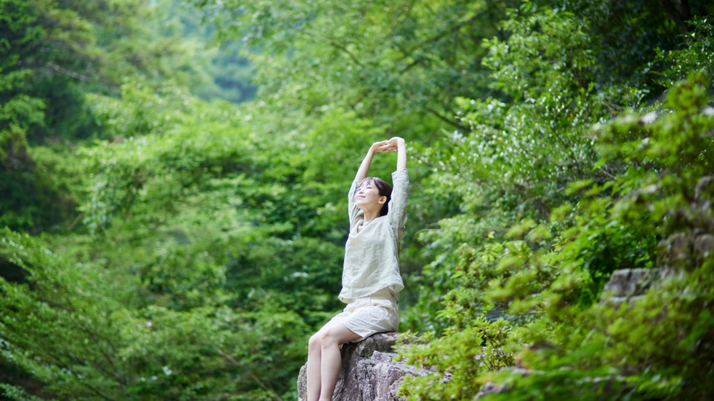 フィトンチッドとは何か?