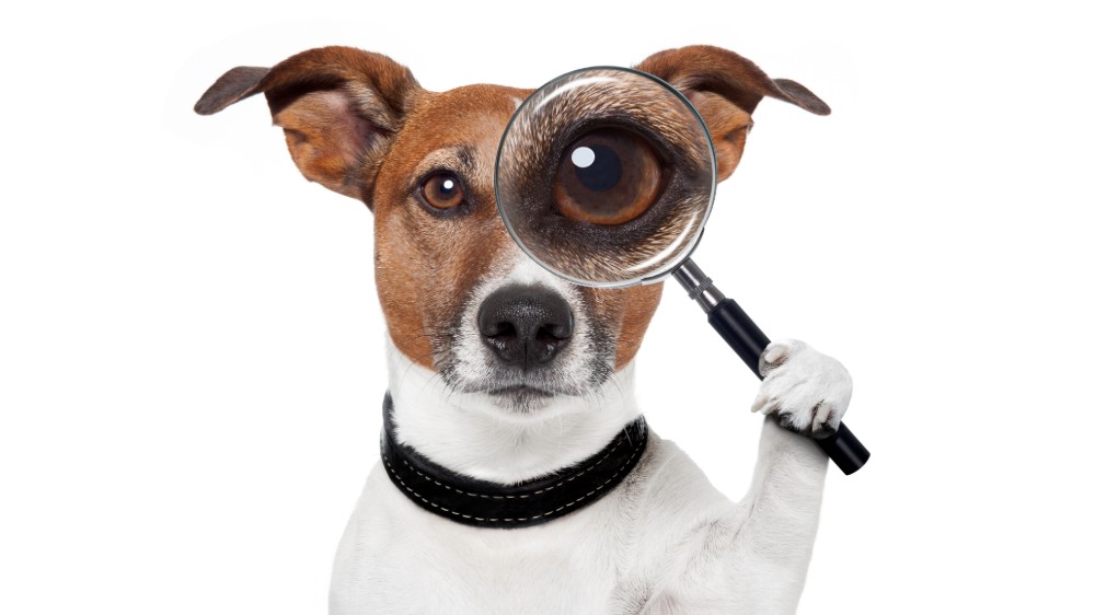 3つの治療法を比較表でチェック（特徴・費用・効果）