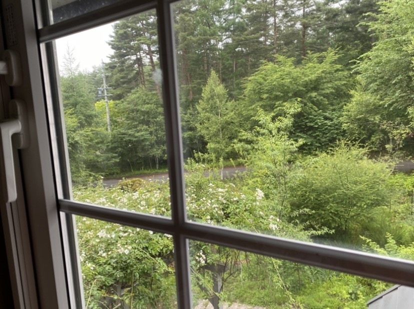 オーベルジュの窓から見た朝のみどりと光