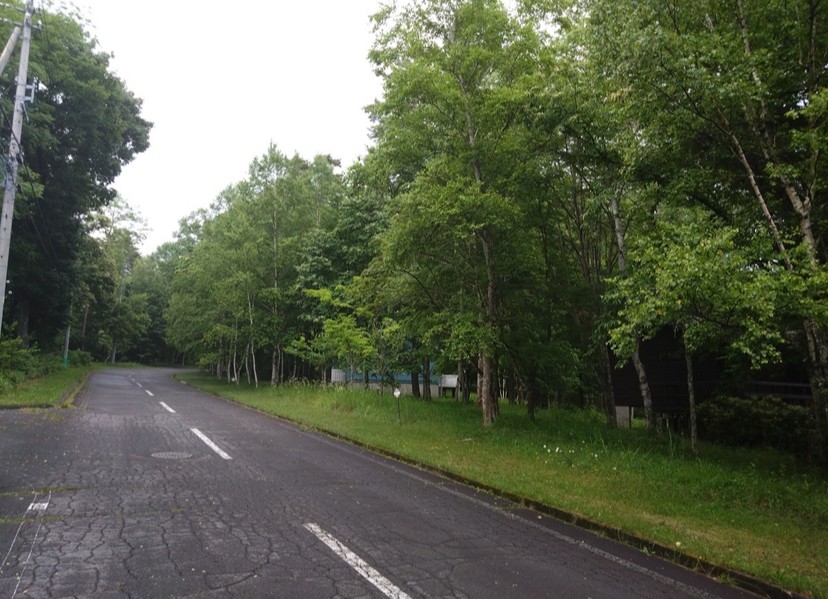 静寂の蓼科の道